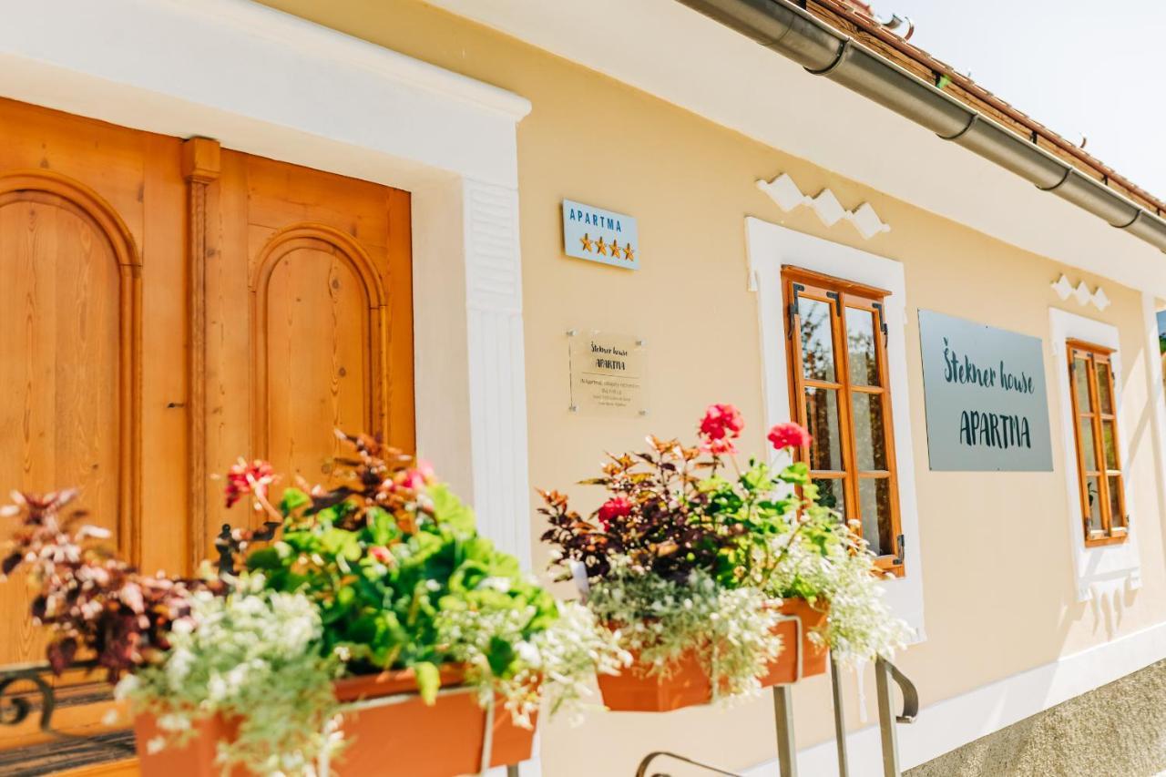 Stekner House Apartma Ljubno Екстериор снимка
